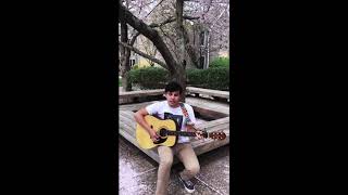 Local Natives - Café Amarillo (Cover)