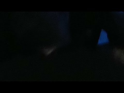 Pescuit  Filmul   20-06-2019