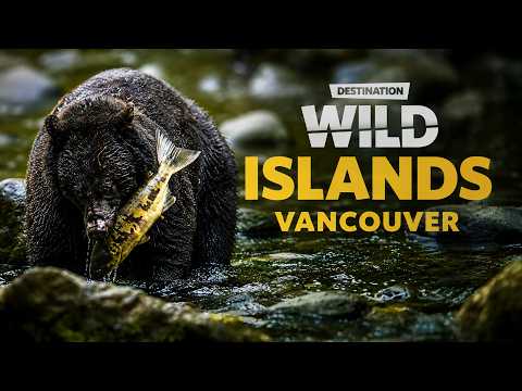Destination Wild: Wild Islands Vancouver Island