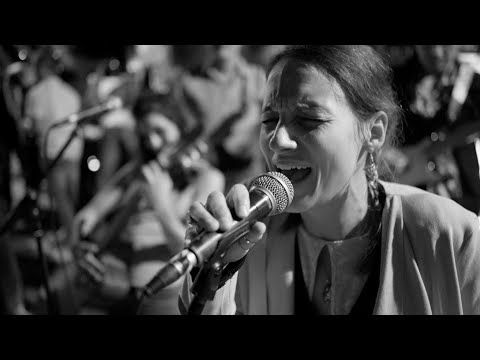 BARCOLANDO 2022 - PROMO VIDEO -