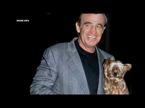 Les stars prêtes à tout pour leur animal domestique