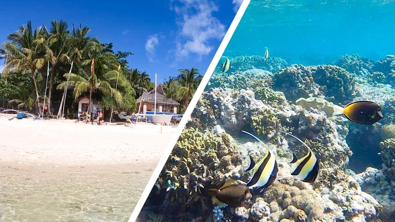 Join travelers as they snorkel through Tubod Marine Sanctuary.