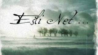 Esli Net - Ex Nihilo (Dark Tranquillity Cover)