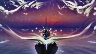 CREATION DREAM - BRUCE COCKBURN