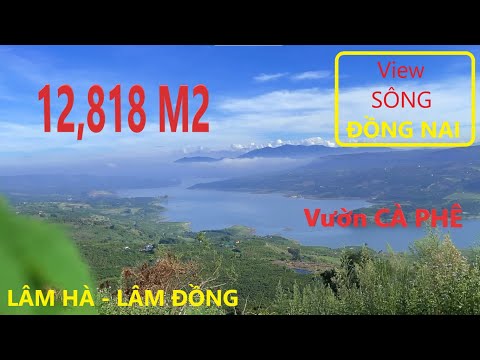 Đất Lớn 12,818 m2 sẵn vườn Cà Phê ĐANG THU HOẠCH | View Sông Đồng Nai - Lâm Hà