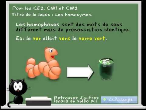 les homonymes, homophones avec www.ladictee.fr CE2, CM1, CM2