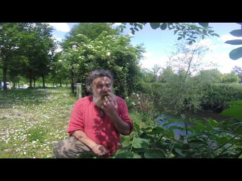 🔵 Badmouth Meaning - Bad-Mouth Definition - Vocabulary CPE CAE IELTS - British English