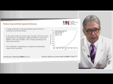 Sporotrichosis by Prof Alexandro Bonifaz, Hospital General de Mexico