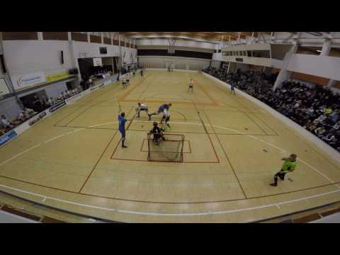 Pisaba - VehVe 17.3.2017