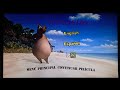 Madagascar DVD Menu 2005 Edición Latina Mejorada