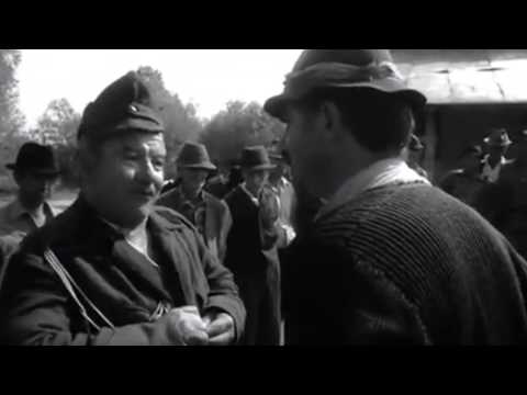 ce io sunt aici de florile marului