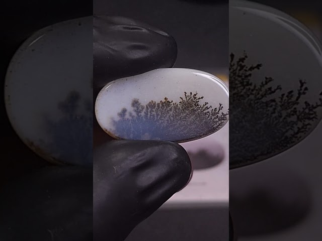 حجر عقيق شجري طبيعي مفحوص و موثق بشهادة مختبر