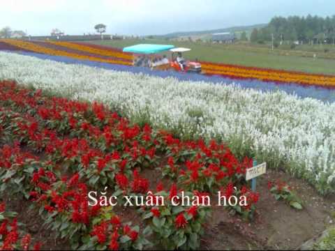 Hát mừng xuân - Tốp ca