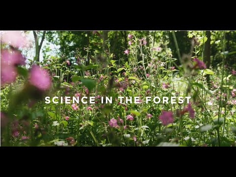 Science in the Forest - Royal Forestry Society