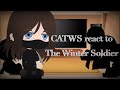CATWS React To The Winter Soldier Marvel LAZY
