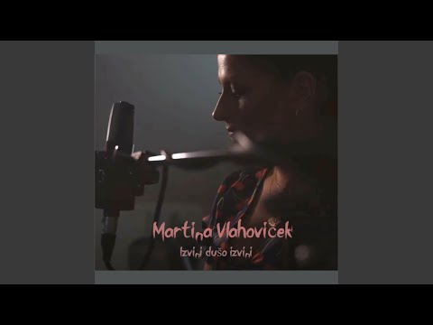 Izvini dušo, izvini (Cover)