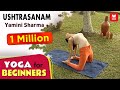 Ushtrasanam Yoga For Beginners By Yamini Sharma Health Benefits Manorama Online