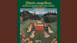 Download lagu Elgar: Ave verum corpus, Op. 2 No. 1 mp3 Download lagu Elgar: Ave verum corpus, Op. 2 No. 1 mp3