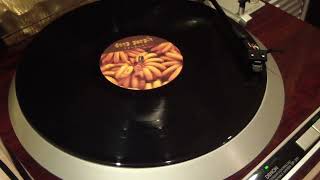 Deep Purple - Picture Of Innocence (2003) vinyl