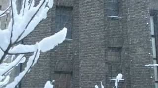 Ryuichi Sakamoto - On the Hill - snow