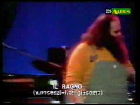 Banco Del Mutuo Soccorso - Il Ragno (Live)