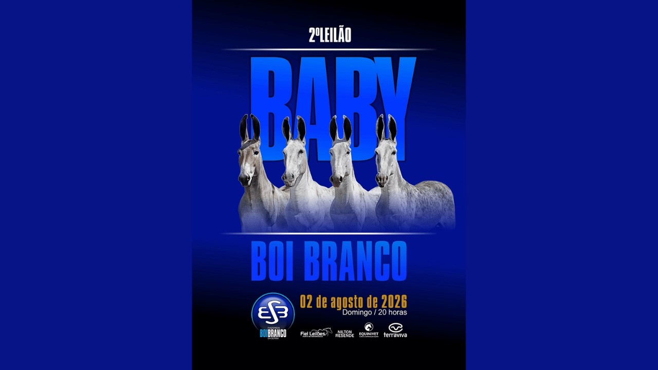 2º LEILÃO BABY BOI BRANCO | 02/08/2026 – 20H