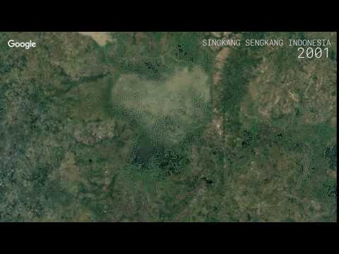 Google Timelapse: Singkang, Sengkang, Indonesia