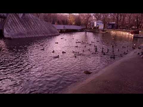 Vernee Mix 2 Camera Test