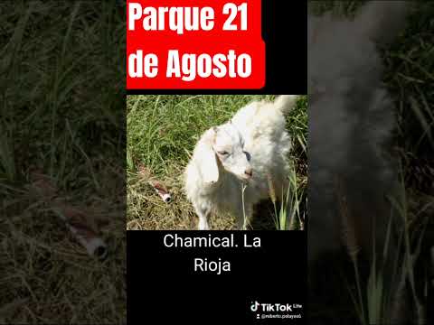 Parque 21 de Agosto en Chamical La Rioja