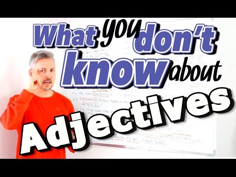 Lesson on ADJECTIVES (modifying nouns and do not change gender and number)