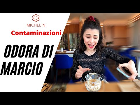 Pranziamo allo  Stellato Michelin Contaminazioni, tra fermentazioni e frollature giappo/italiane.