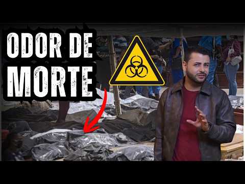 Vídeo