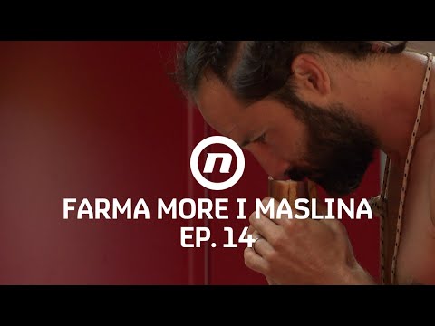 Opet problemi s hranom - Epizoda 14 | Farma More i Maslina