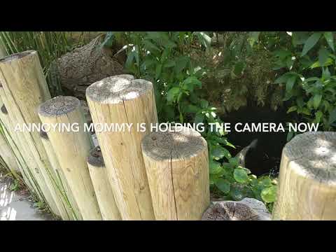 Milo's Hotel Tour - Episode 1: Adelaide Inn