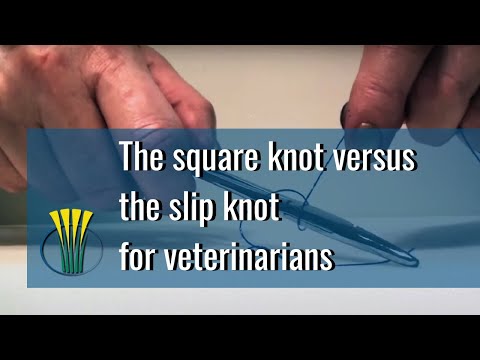 The square knot versus the slip knot for veterinarians