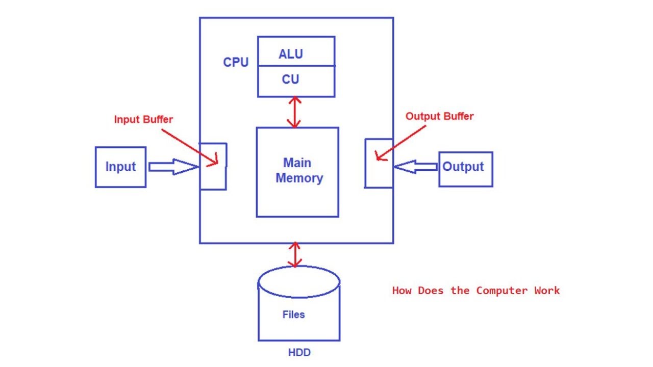 How Does the Computer Work
