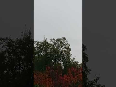Fuertes lluvias continúan sobre el Bio Bio