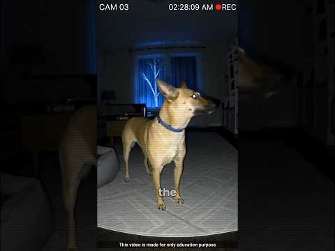 This family is alive today because of him🥹 #trendingshort