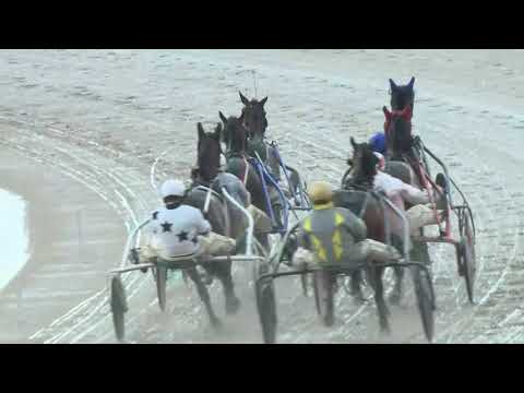 2018.05.19. 7. futam - WILLIAMS DÍJ