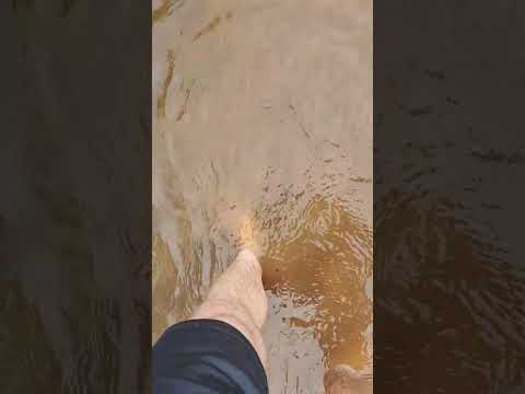 29 de Julho,  Rio Toropi,  Vila Clara,  Mata-Rs