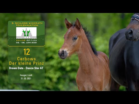 5. Schloss Wickrath Fohlenauktion  Lot 12 Carbows Der kleine Prinz HF v. Dream Date - Dance Star AT