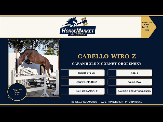 Cabello Wiro Z