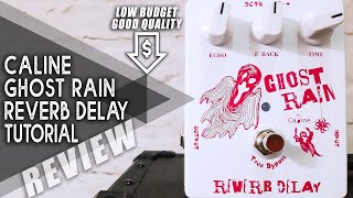 Video thumbnail for AWESOME Budget DELAY | Caline CP-41 - Ghost Rain | VIDEO REVIEW [NO TALK] by Perry Frank