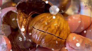 【ドイツの美味しい焼き栗】お家で作ろう！ #焼栗 #クリスマス #christmas