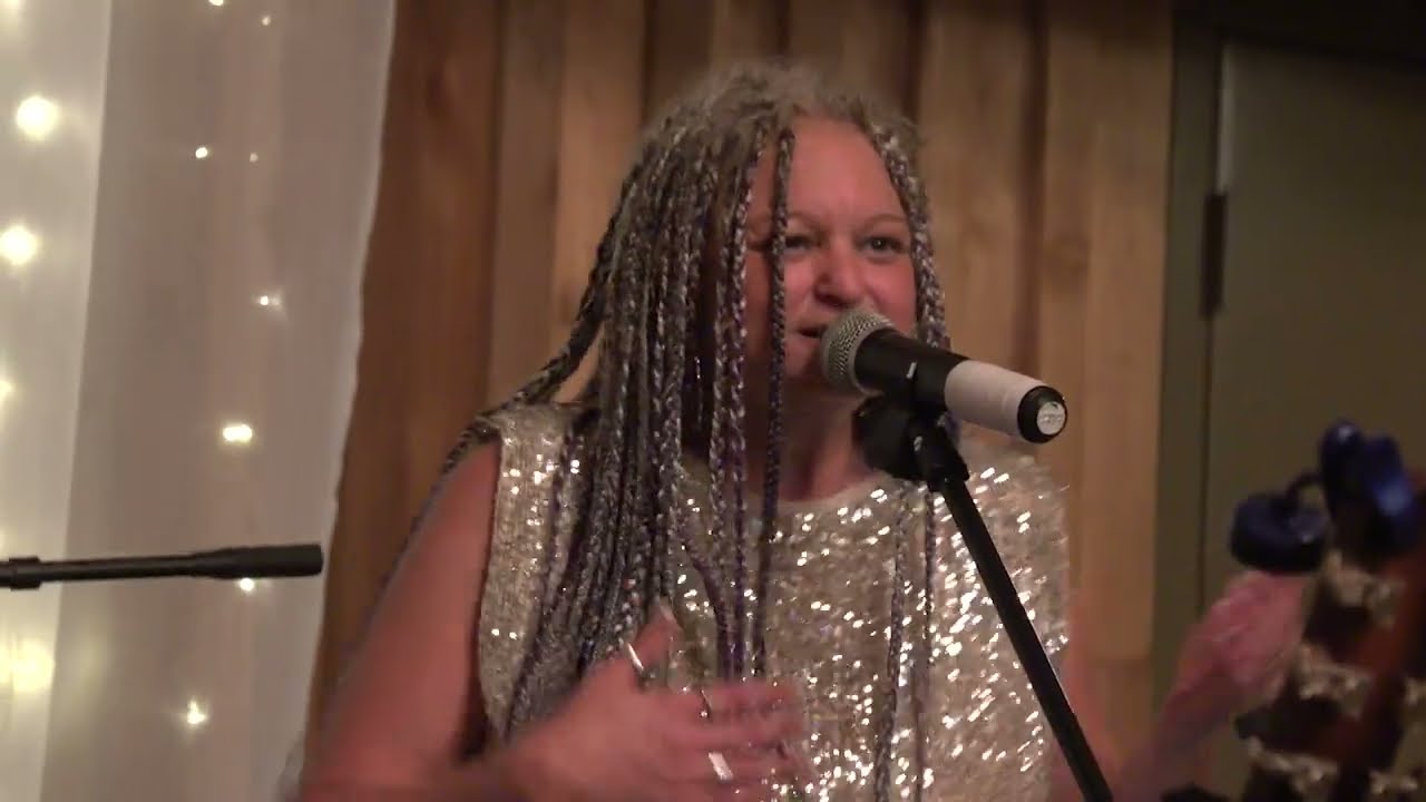 Promotional video thumbnail 2 for The Sheila Ann Band