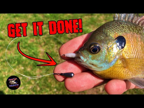 How to Make the Drop Shot Rig | Drop Shot Fishing for Bluegill