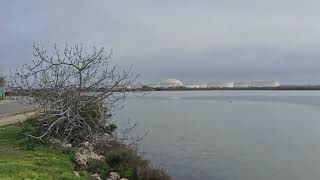 11 Marzo 2026: Frontignan, Occitanie, Sud de la France