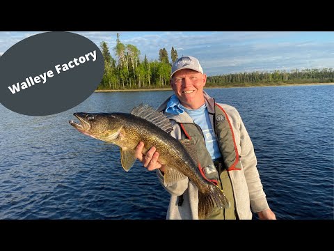 Walleye Factory- Makokibatan Lake