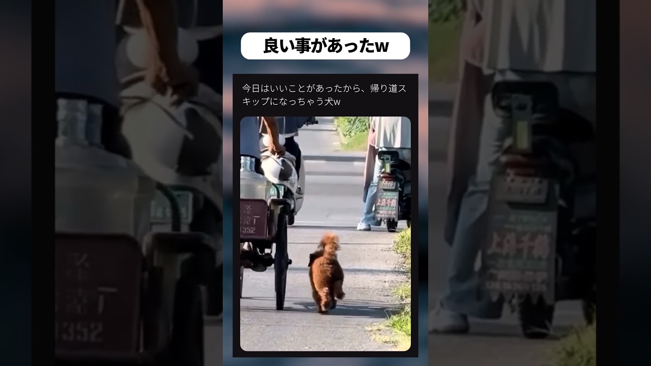 いいことがあったw