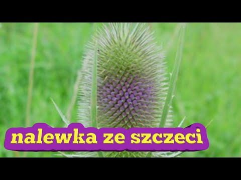Maska do włosów z wzrostu olejku Zapobiec wypadaniu włosów po porodzie